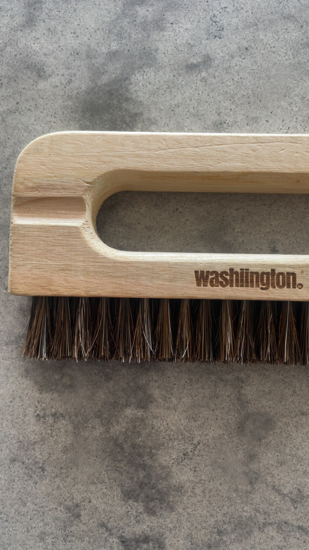 Garment Brush